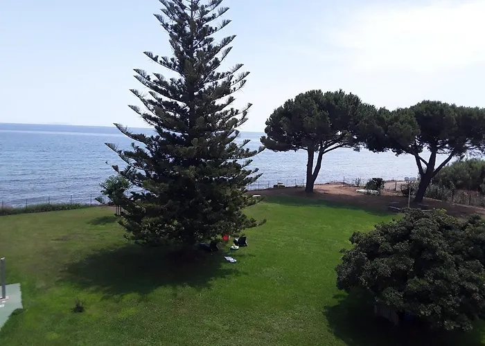 Les Pieds Dans L'eau Santa-Lucia-di-Moriani