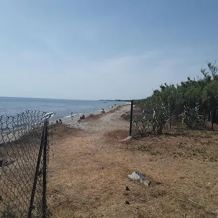 Les Pieds Dans L'eau *