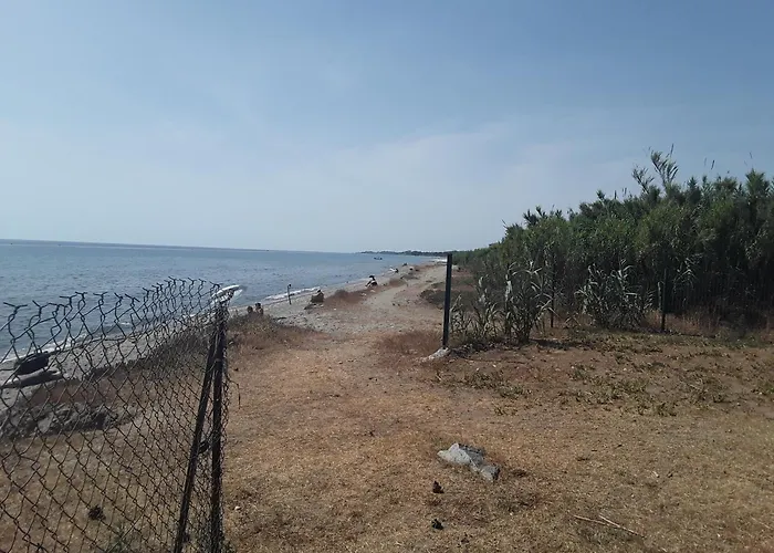 Les Pieds Dans L'eau *